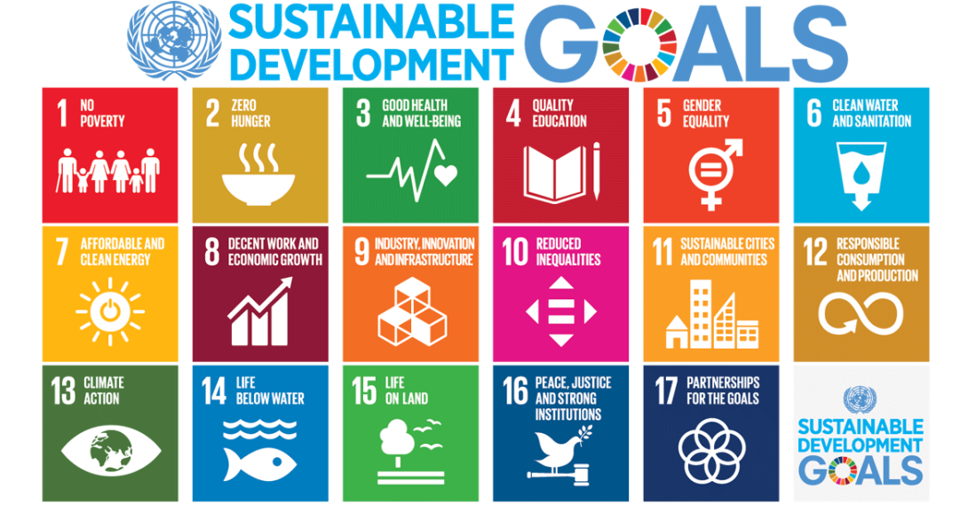 United Nations Sustainable Development Goals